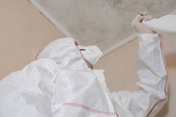 Crawl Space Mold Removal in Wathena, KS