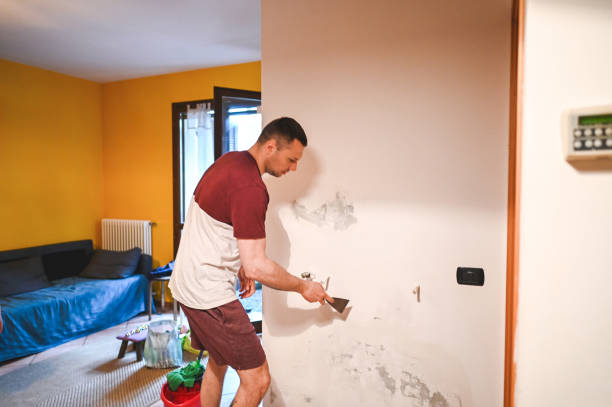 Best Local Mold Removal Service  in Wathena, KS